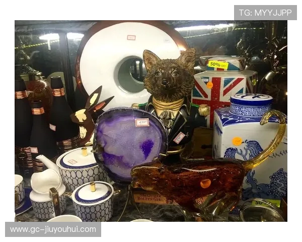 猫箱足球掀起宠物运动新潮流猫咪化身绿茵球星萌力全开 猫箱足球掀起宠物运动新潮流猫咪化身绿茵球星萌力全开